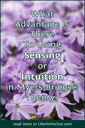 What Advantage Is There To Using Sensing Or Intuition In Myers-Briggs® Theory? | LikeAnAnchor.com
