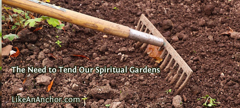 The Need to Tend Our Spiritual Gardens