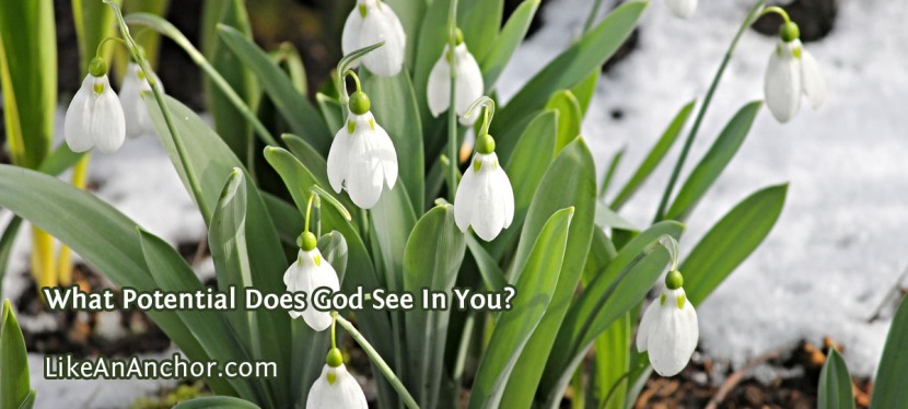 What Potential Does God See In You?